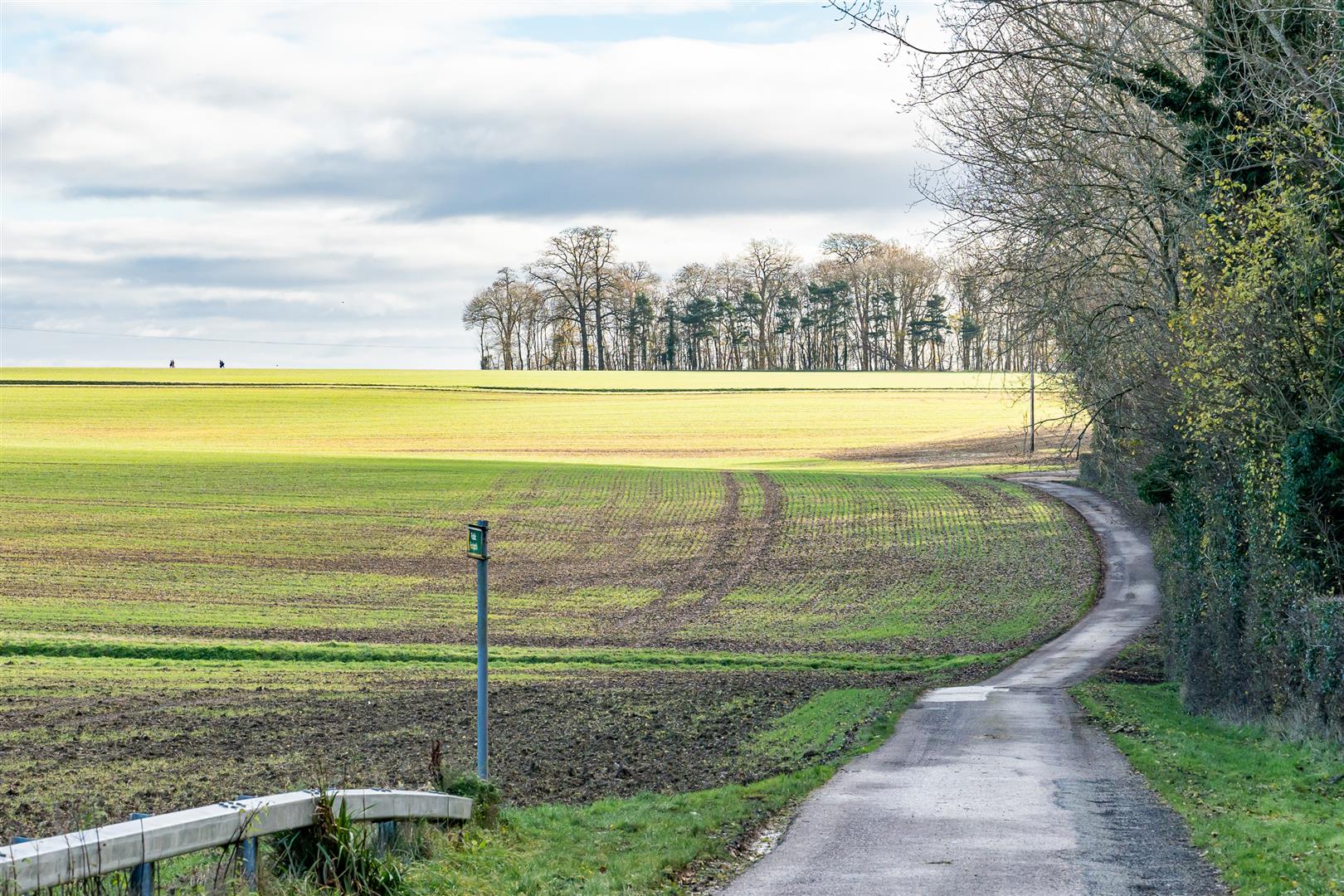 High Road, High Cross, Ware Alexander